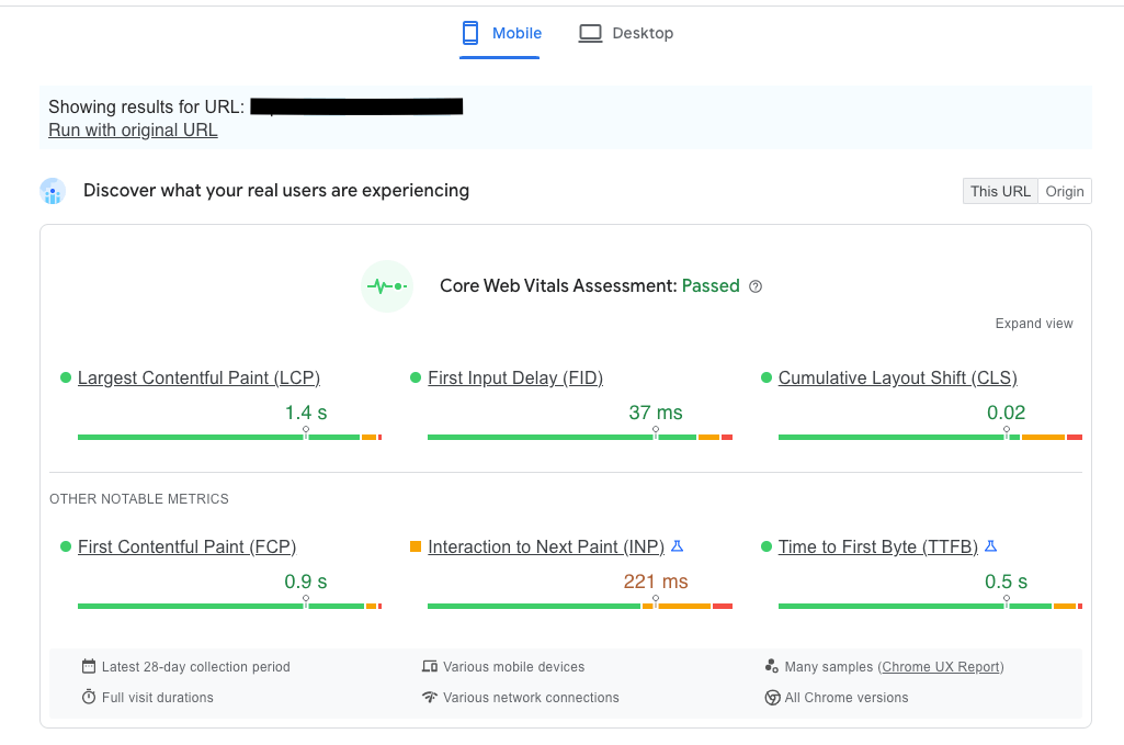 Voorbeeld van PageSpeed Insights resultaten